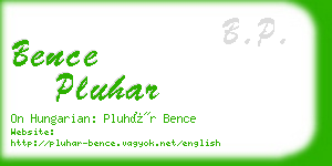 bence pluhar business card